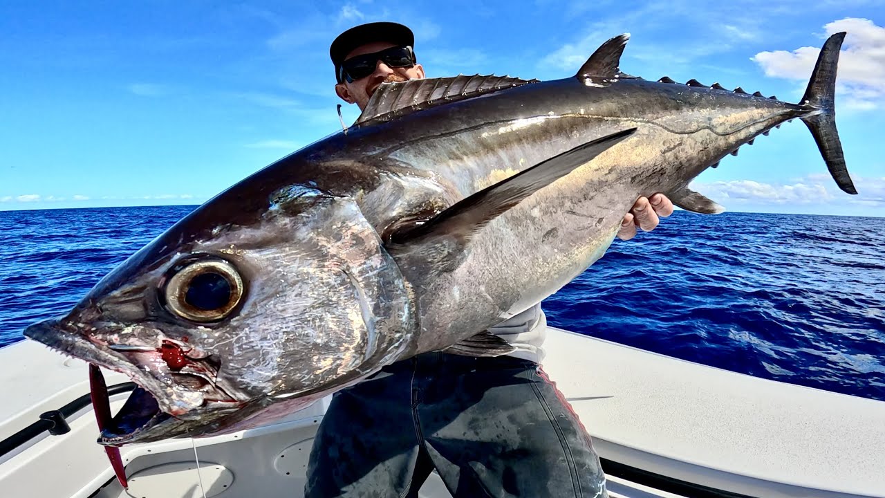 High Speed Jigging Dog Tooth Tuna