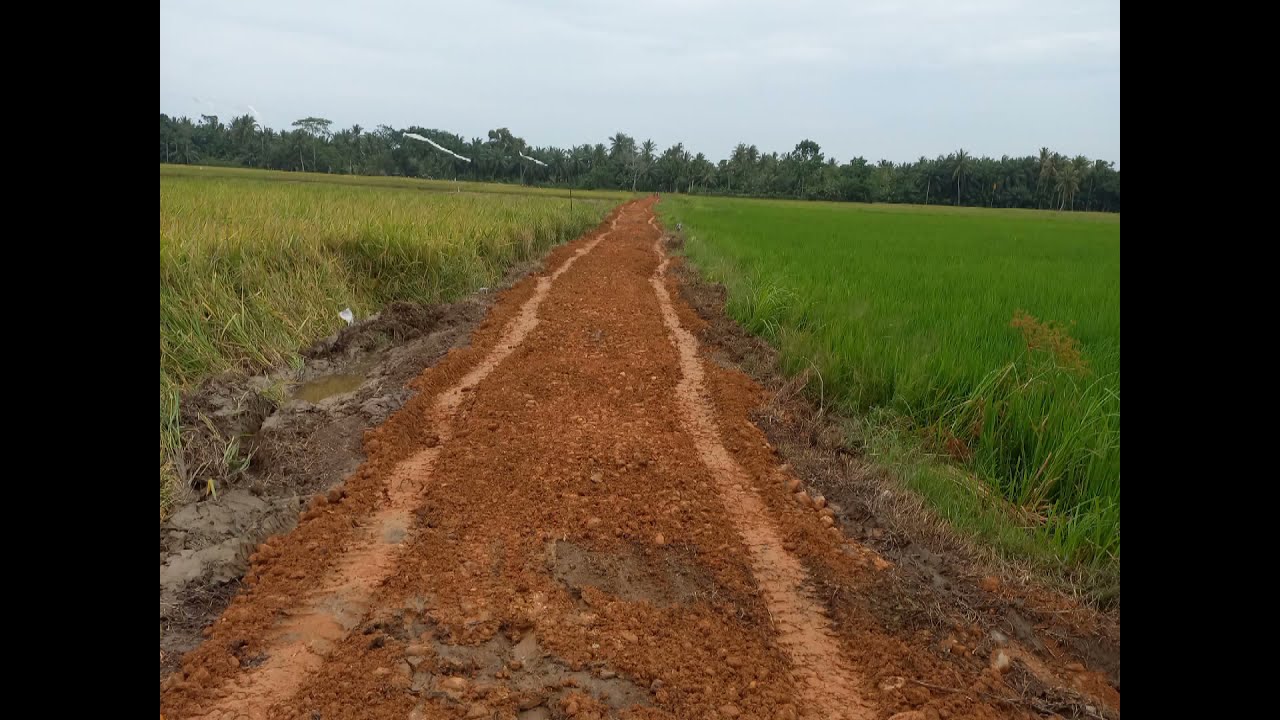 perkerasan jalan usaha tani #DesaMembangunIndonesia