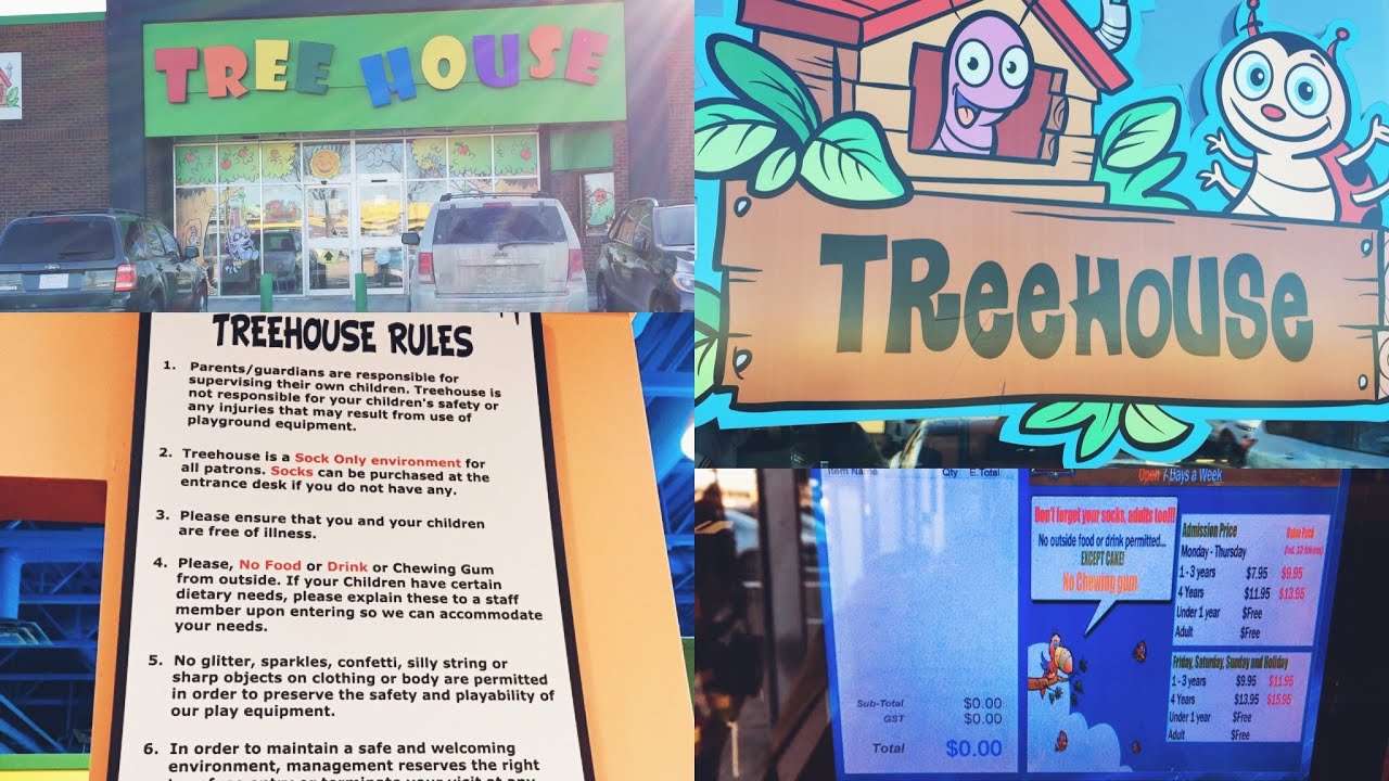 Tree house Indoor Playground in Calgary, Canada | Treehouse Indoor Playhouse North Calgary