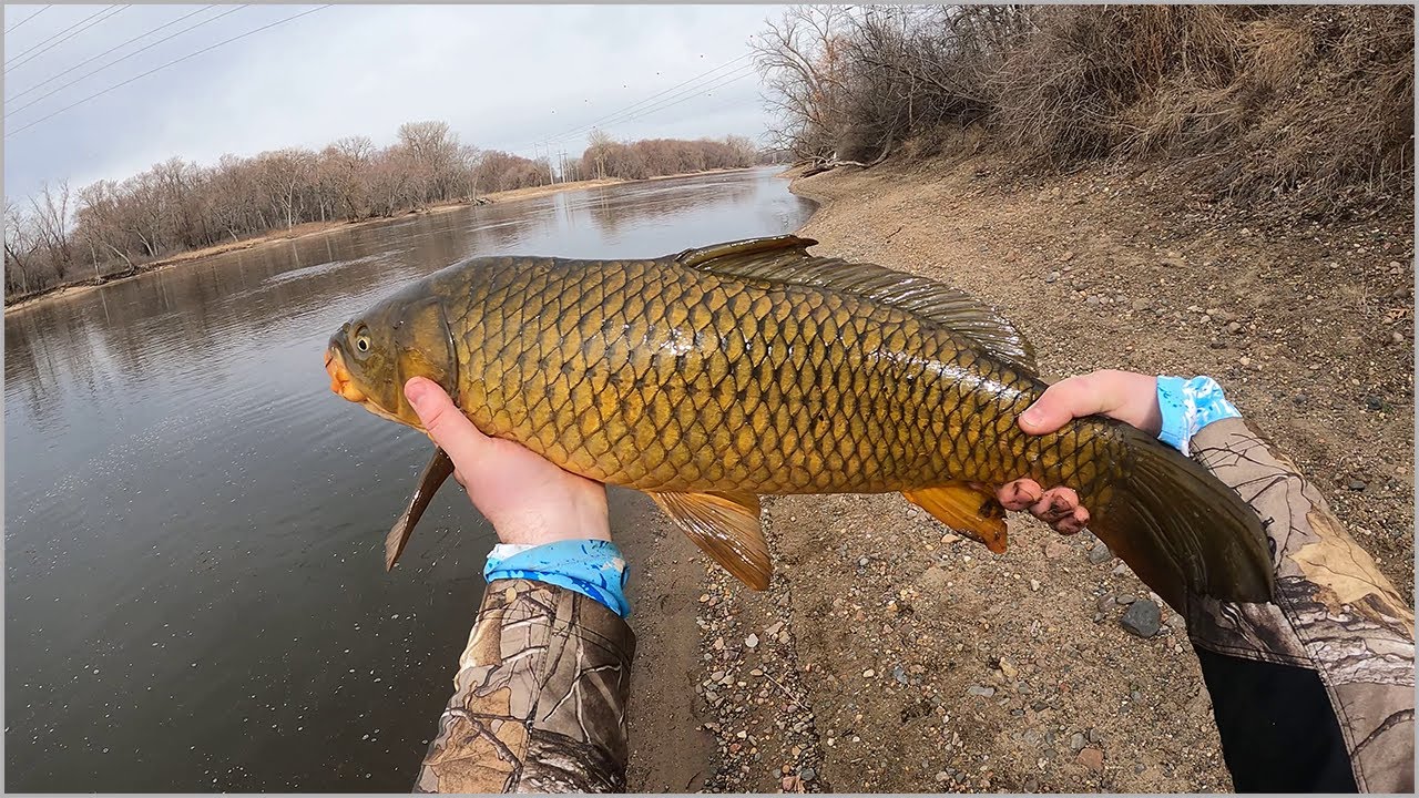 What to fish for when everything's closed...