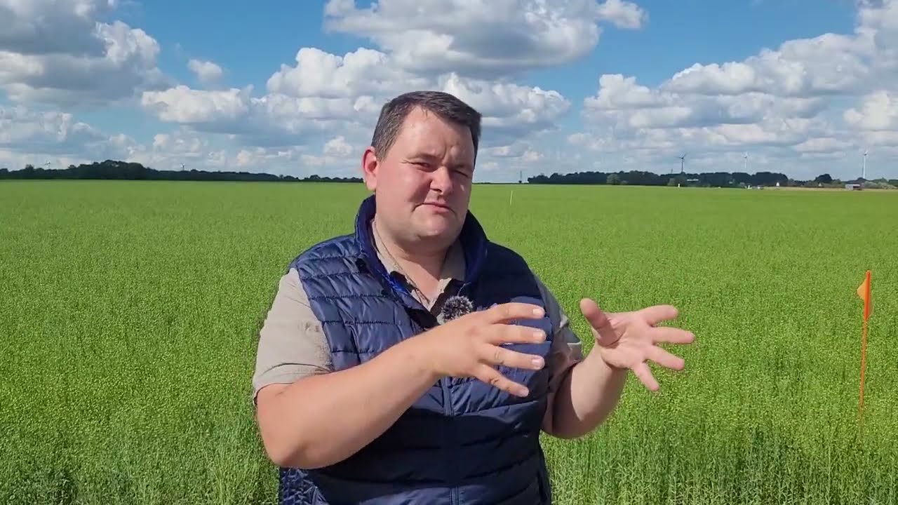 Centipède: rejoignez la communauté ! comment cela fonctionne, quels avantage?... On vous explique