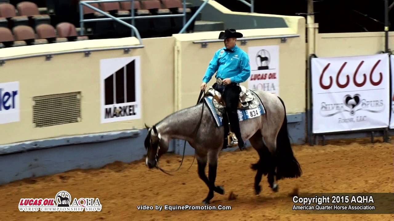 VS FLATLINE ridden by CHARLIE I COLE  - 2015 AQHA World Show (FINALS - Jr Western Riding L3)
