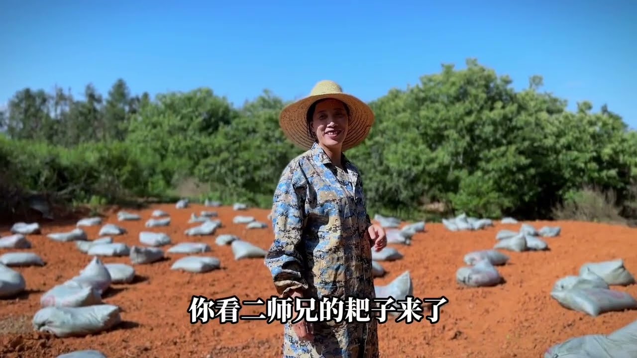 大城市远嫁过来的小沈，拿起务农的工具耙鸡粪，烈日当头接地气。 