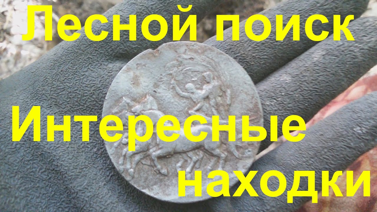 Поиск клада в лесной деревне. 2016