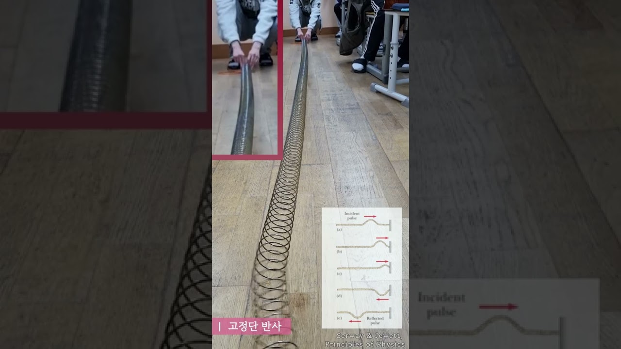 파동의 중첩과 독립, 고정단 반사와 자유단 반사, 반사파와 투과파 - 세종과학고 물리학 수업