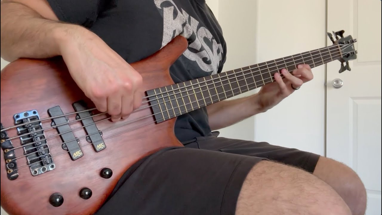 Pantera - Revolution Is My Name (Bass Cover)