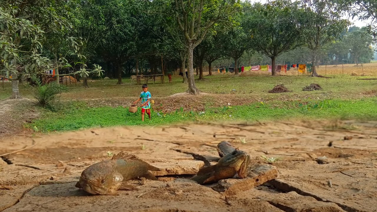 Watch This Fisherman Catch a GIANT Fish with His BARE HANDS...in an UNEXPECTED Place! Fishing 2023