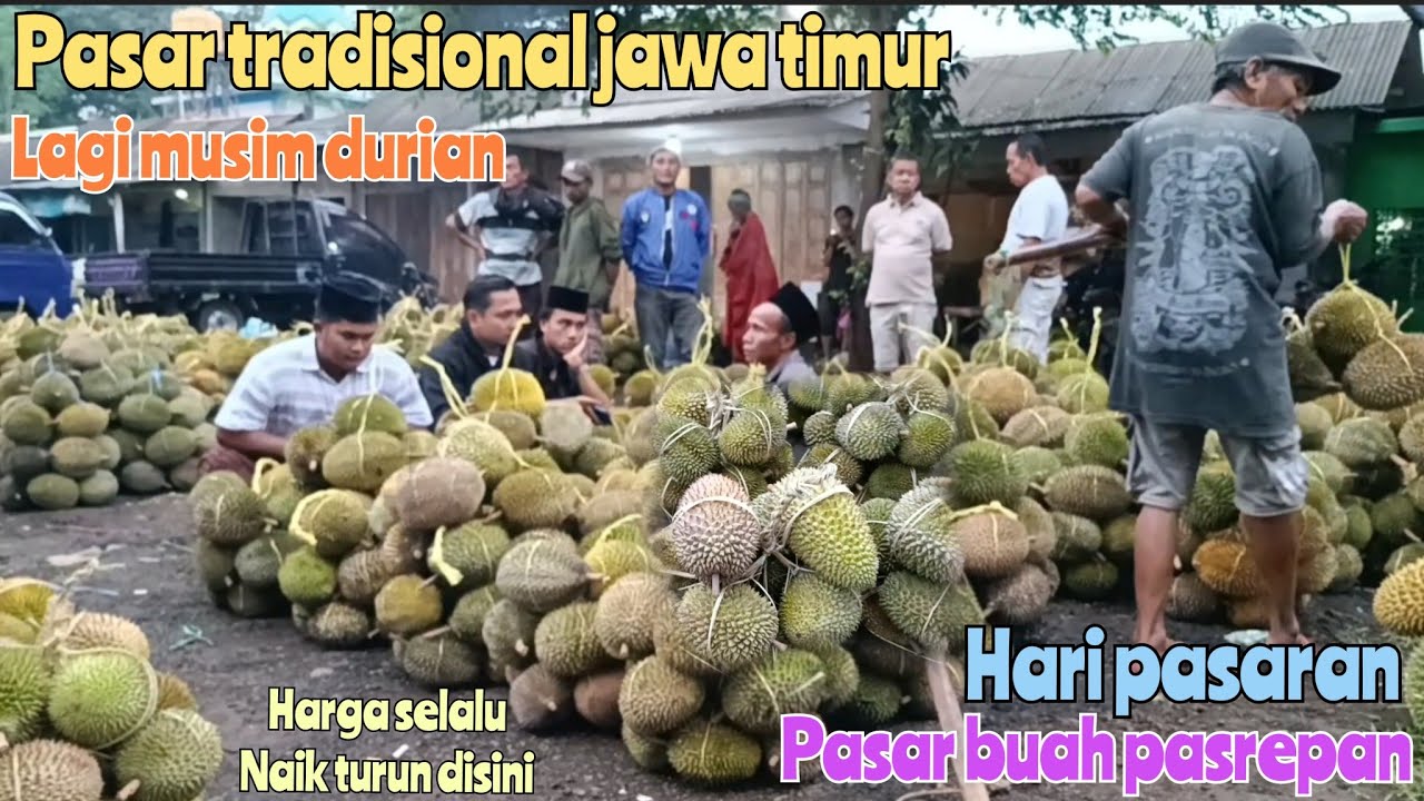 HARI SELASA HARI PASARAN DI PASAR TRADISIONAL PASREPAN UPDATE HARGA DURIAN DAN BUAH LAINNYA DISINI