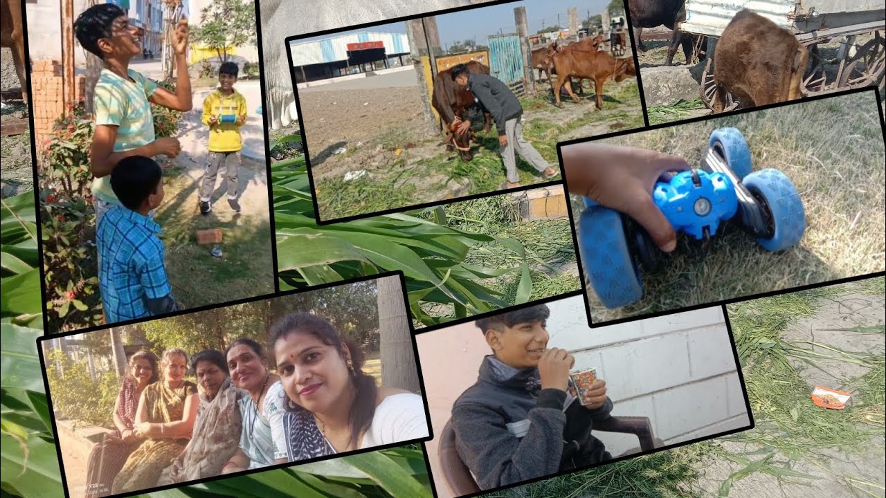 Happy Makar Sankranti🪁 Gay🐄ko khilaye chara or gye Bhabhi ke yaha||@SadhnaRatlamVlogs /#Vlogs/#191