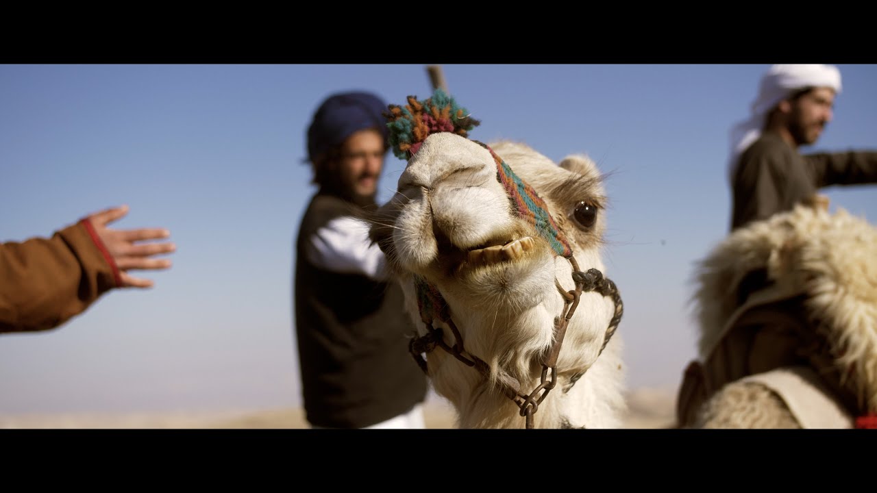 MAHFUF - ALAWAN ENSEMBLE 🐪 מחפוף - אנסמבל עלוואן