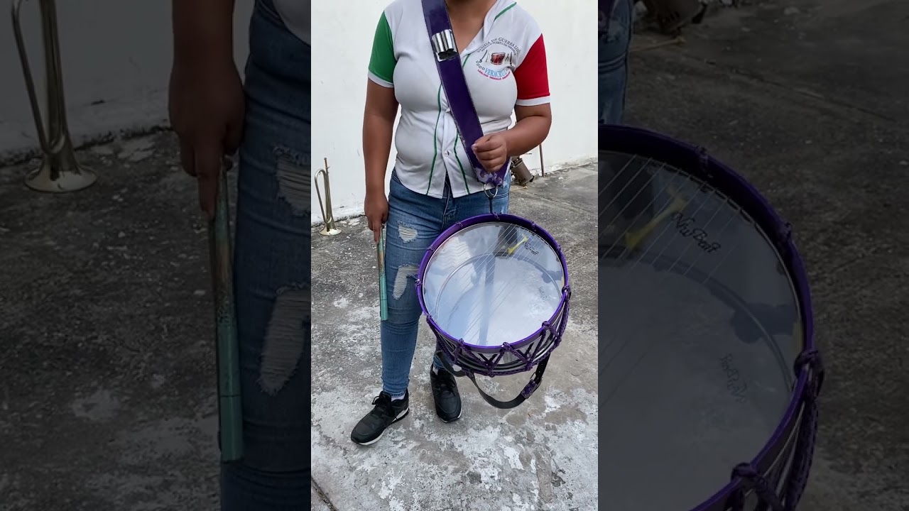Marcha patria explicada