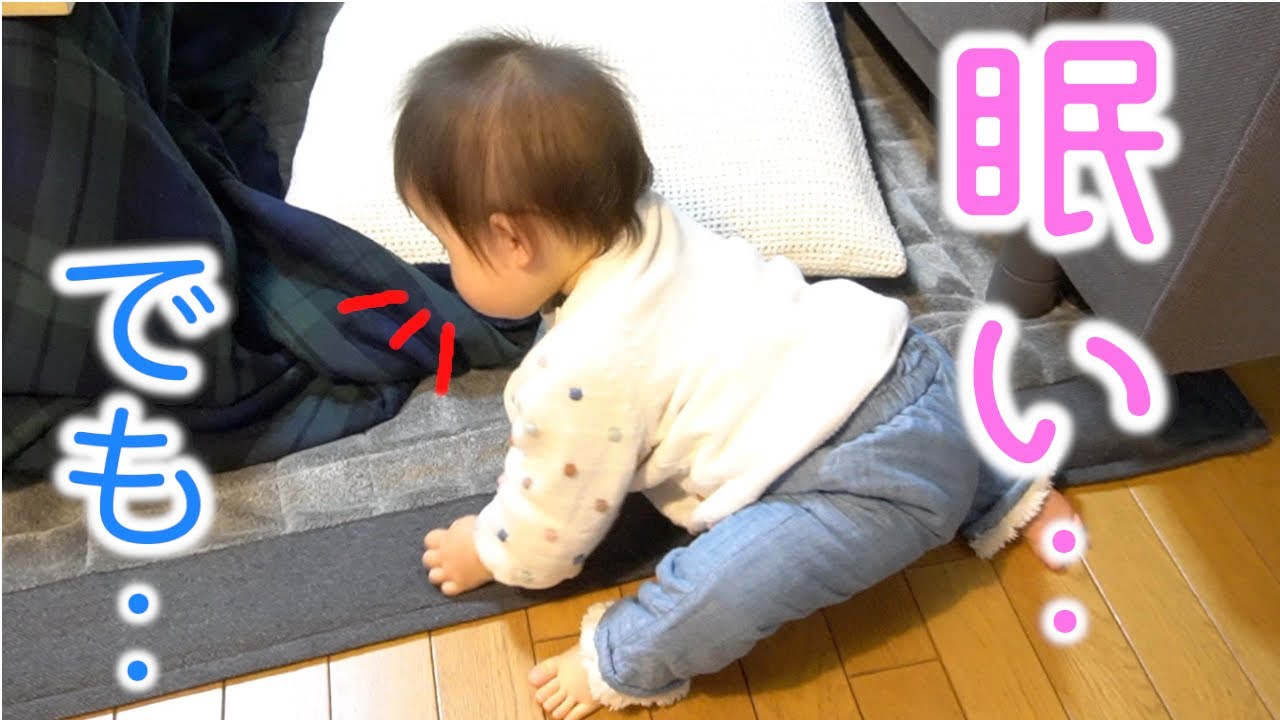 【ご飯まであと30分!!】眠いのを我慢する姿がかわいすぎて...💖｜30mins before meal.