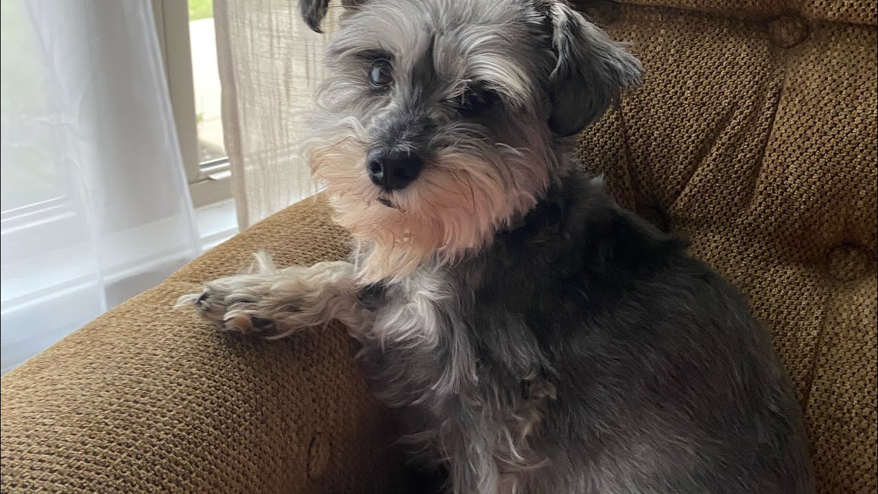 Looking Back at 2025