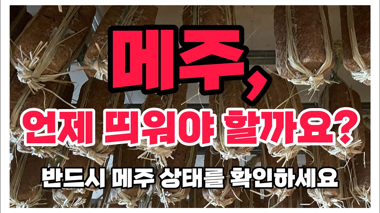 메주 띄우기는 몇일 만에 해야 할까요? 반드시 상태를 확인하세요