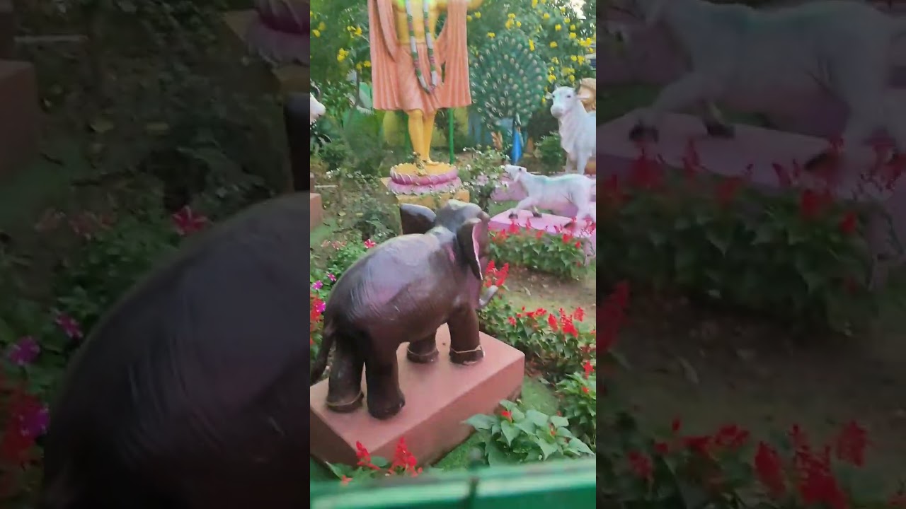 নবদ্বীপ ধাম।