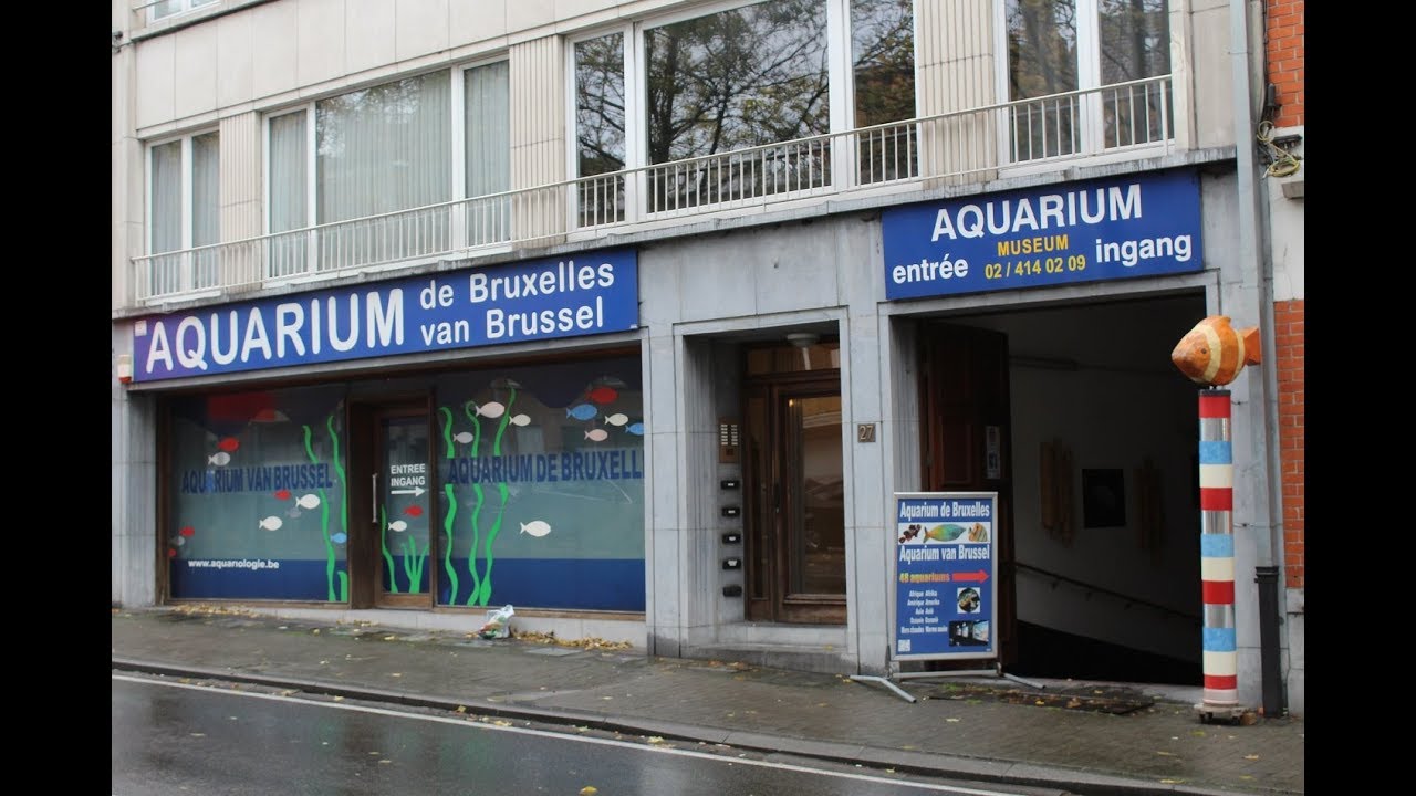 Aquarium Brussel