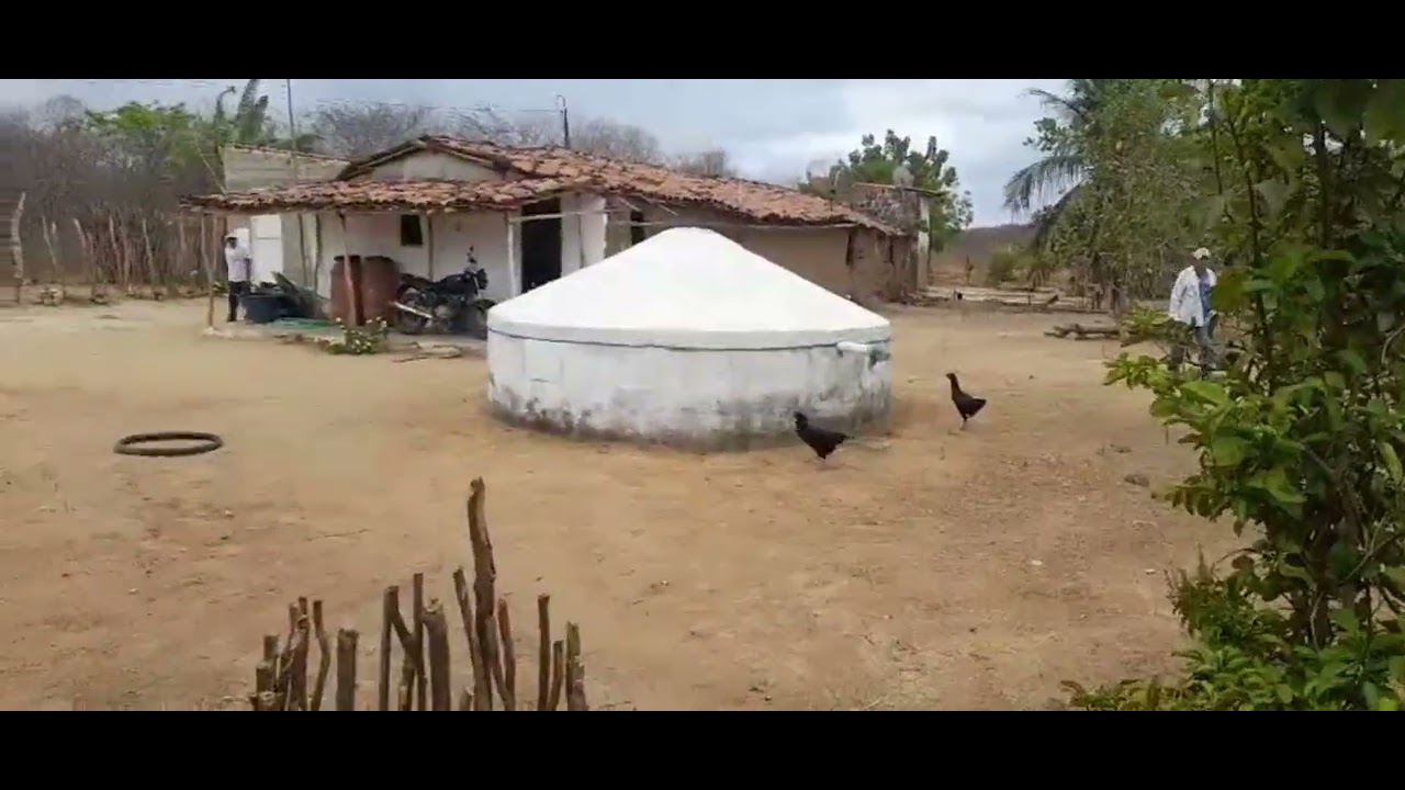 hoje vim mostrar um pouquinho do sítio do sertão nordestino