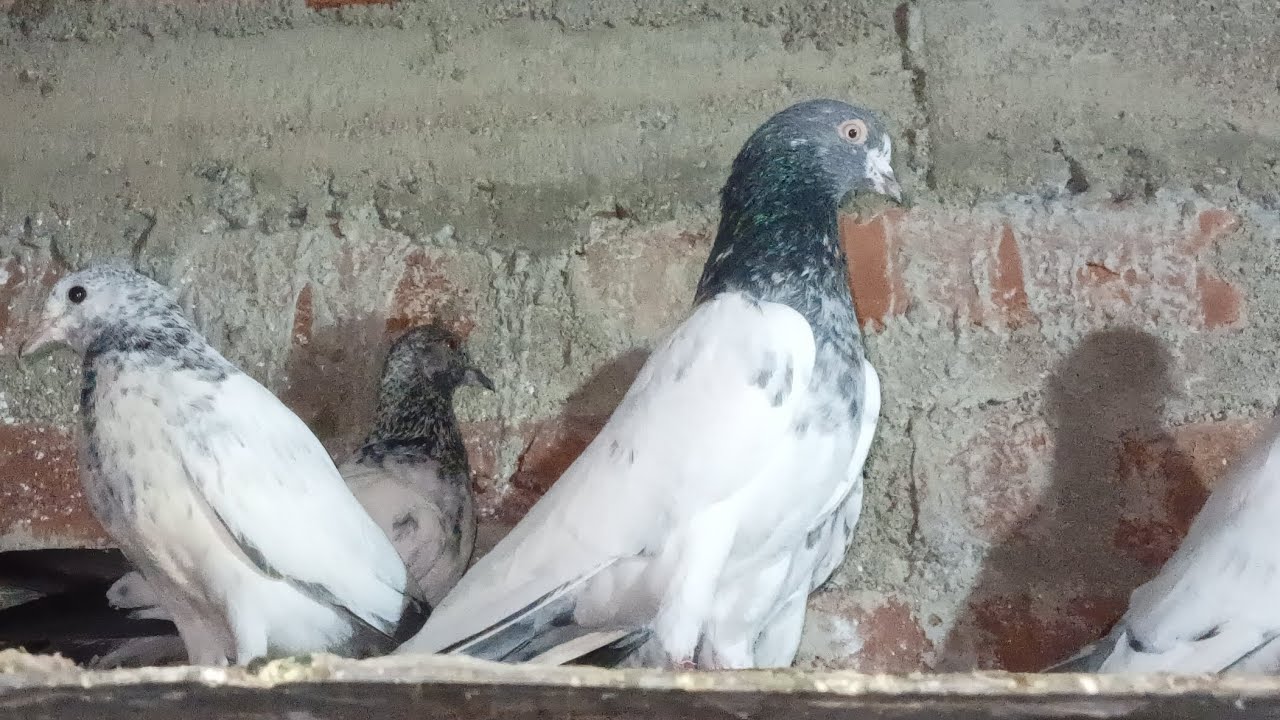 Ramadan ka phele din Bhut acha gya 😊