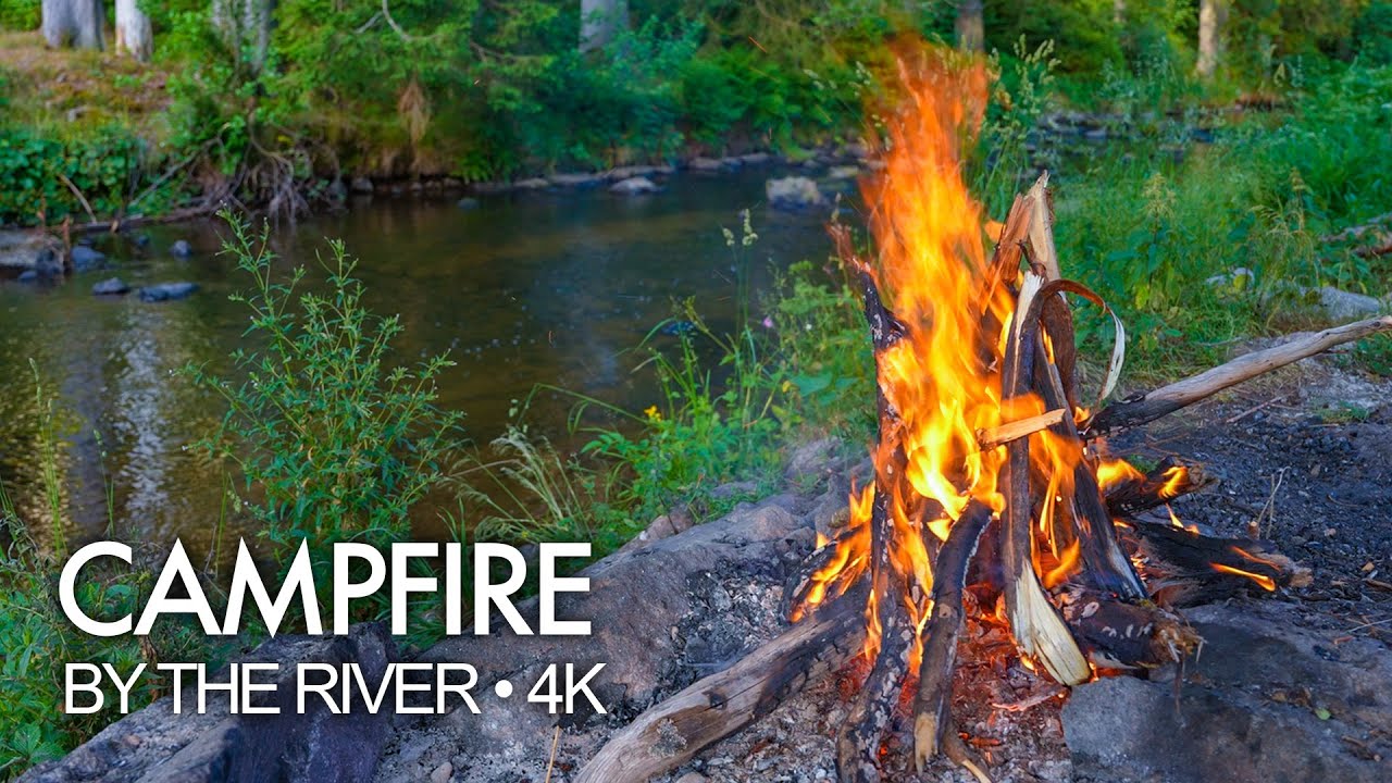 Campfire by a River 🔥 Relaxing Sound for Sleeping
