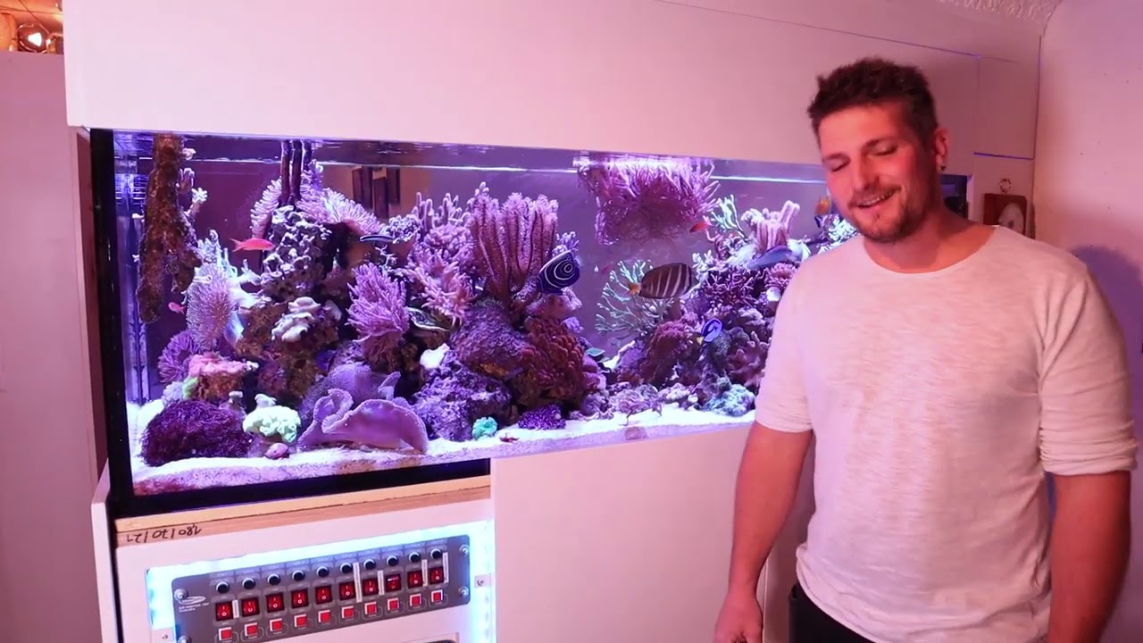 Traumhaftes 1000 Liter Weichkorallen - Meerwasserbecken