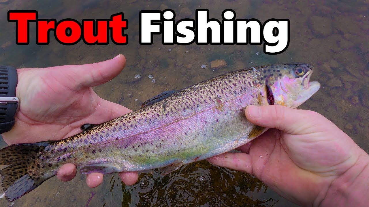 Trout fishing at Derwent Reservoir.