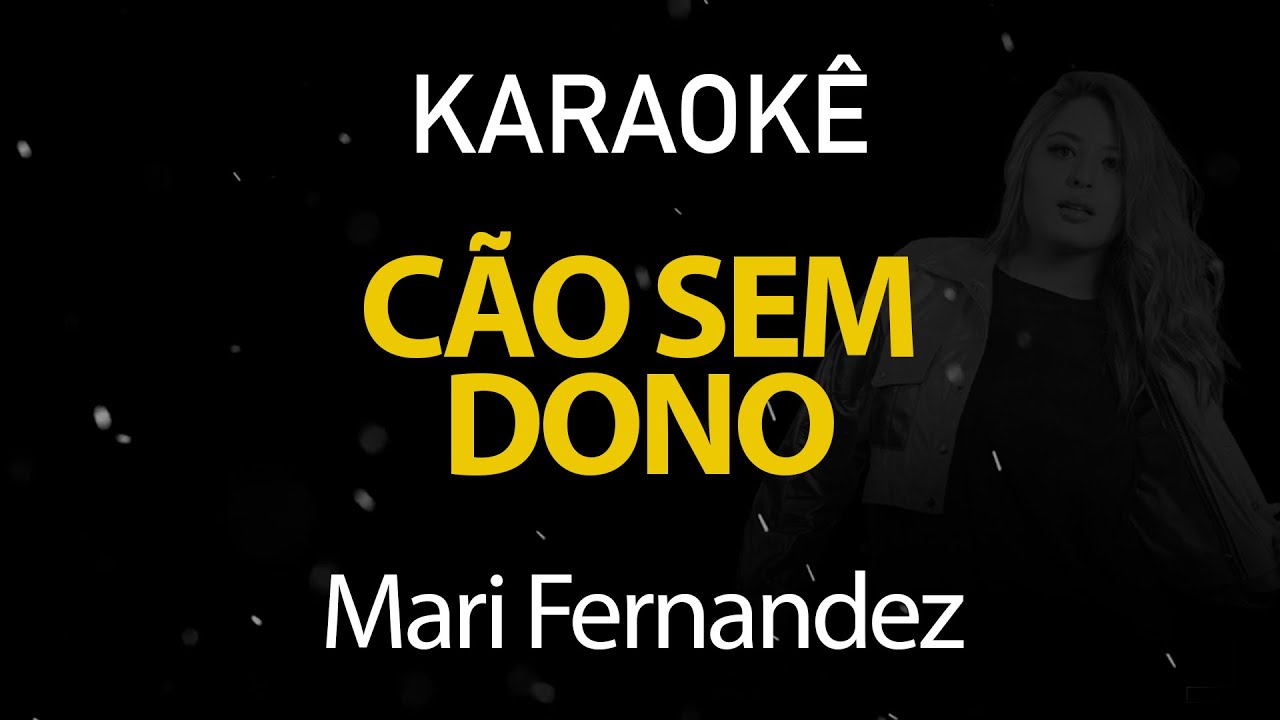 C&atilde;o Sem Dono - Mari Fernandez (Karaok&ecirc; Version)