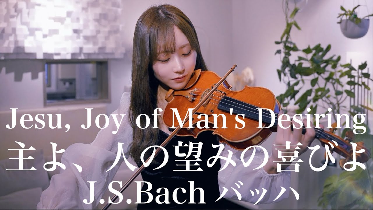 主よ、人の望みの喜びよ/バッハ-Jesu, Joy of Man's Desiring/J.S.Bach-【Violin Covered by AiVIOLIN】