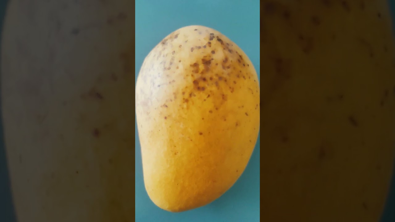 MANGO 🥭#shorts #viral #trending #mybloopers #ofwhongkong