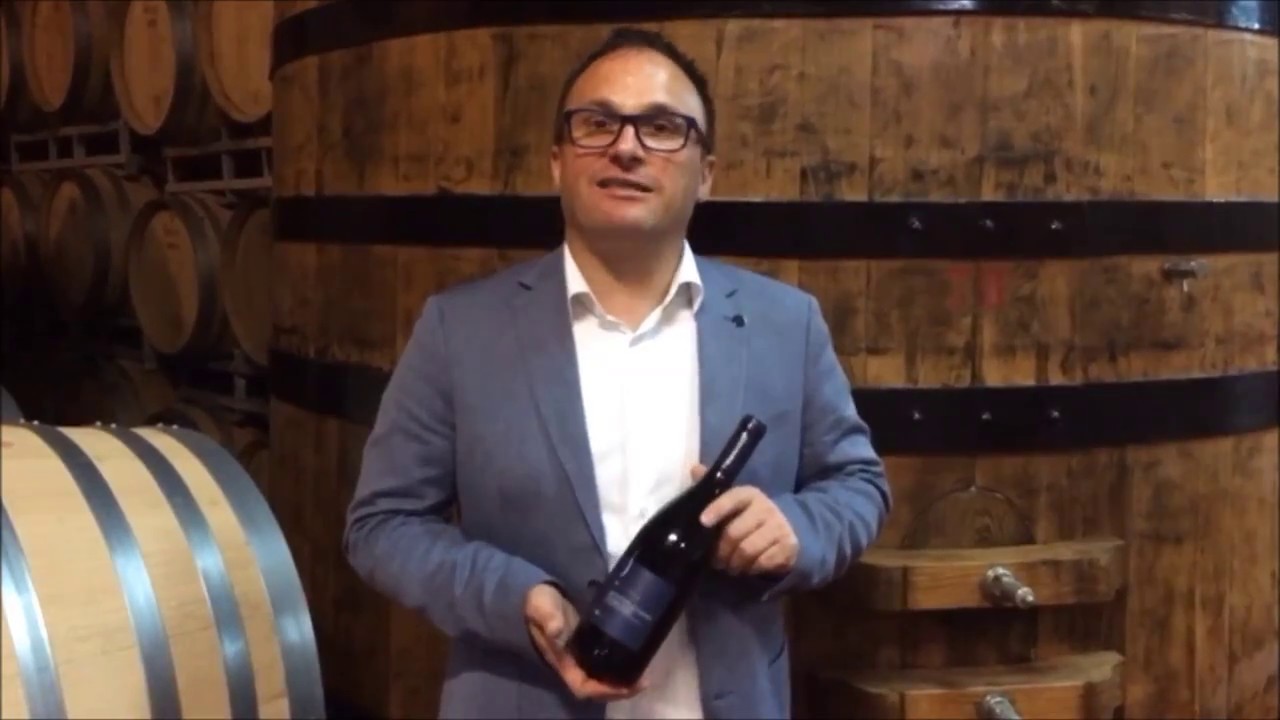 Mo Montepulciano d'Abruzzo Dop | Cantina Tollo