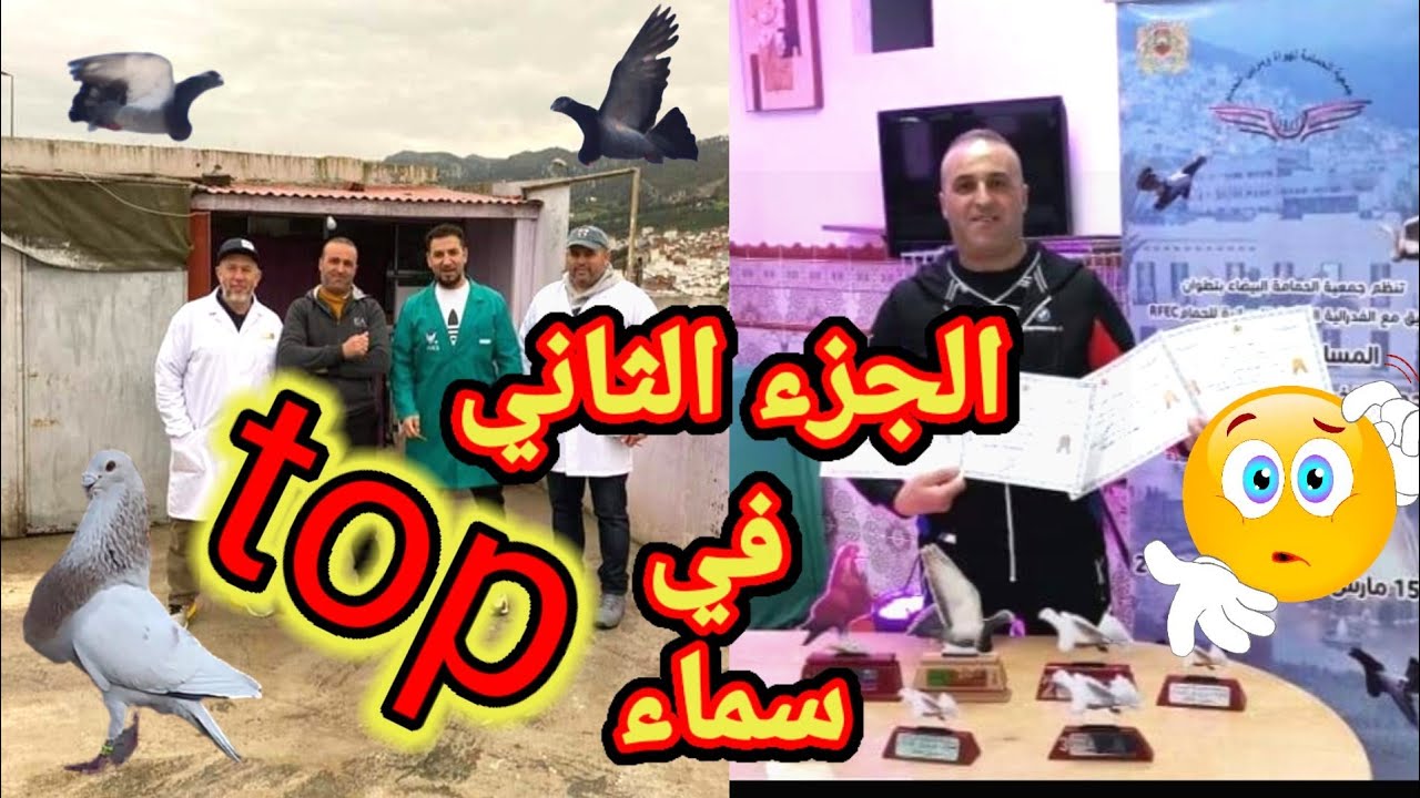 توليعة الجزء الثاني مع الأخ طارق طبولة في سماء ماشاء الله حمام في المستوى top top