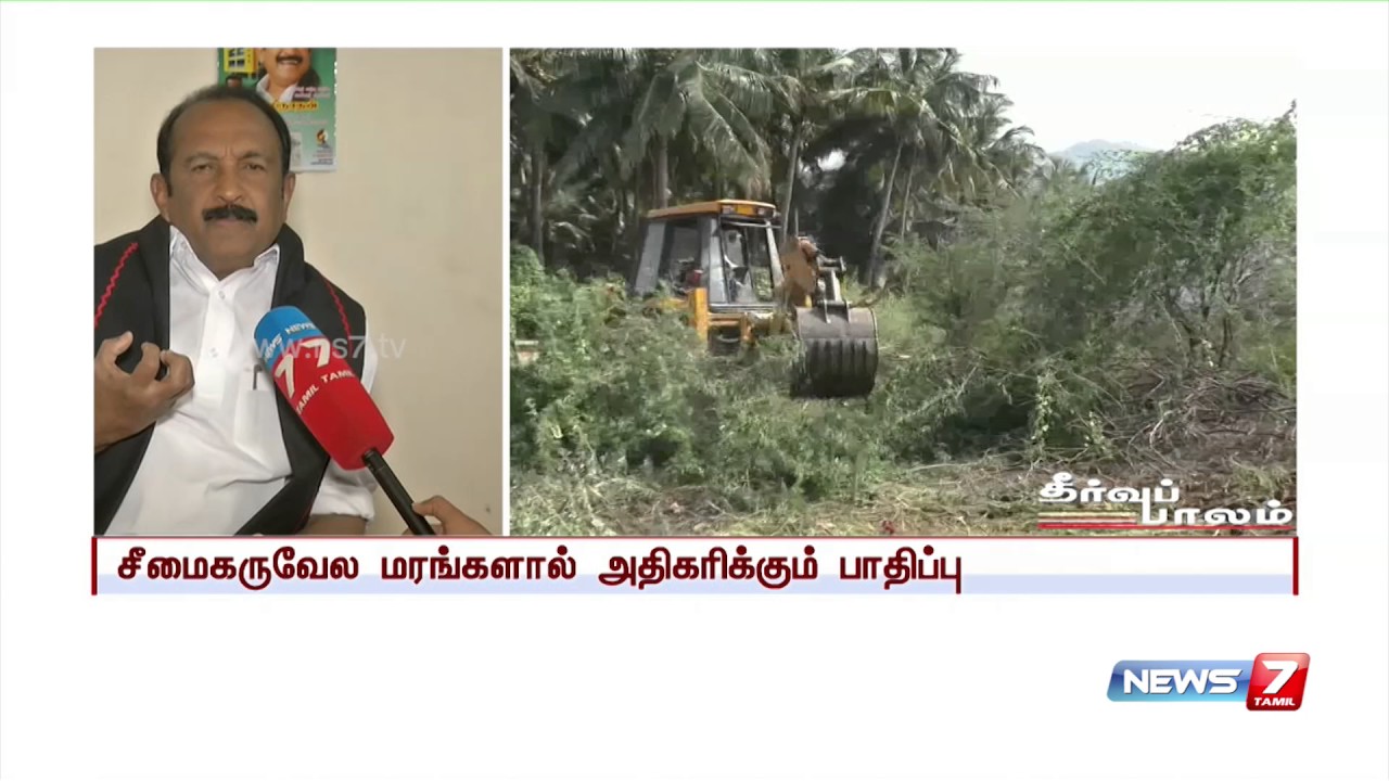 Vaiko on increasing effects of babul trees | News7 Tamil