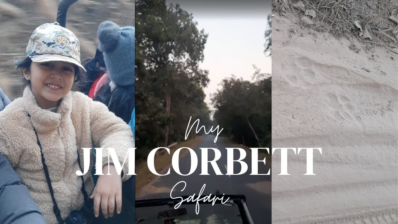 Vihaana’s Jungle Adventure: Tracking Tigers in Jim Corbett! 🐅