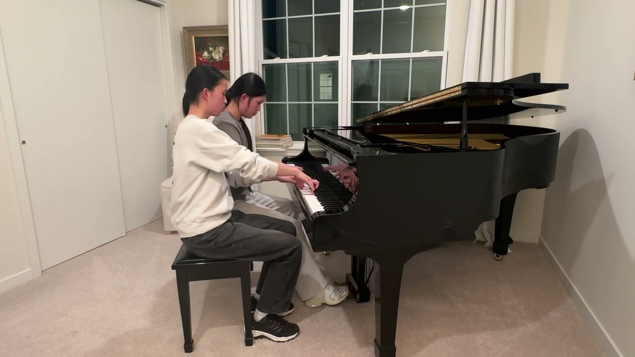 Slavonic dance op 72 no 2 in e minor by Antonín Dvořák