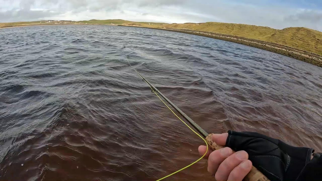 Seatrout - Saltwater Flyfishing  in a Highland Estuary. March 2025