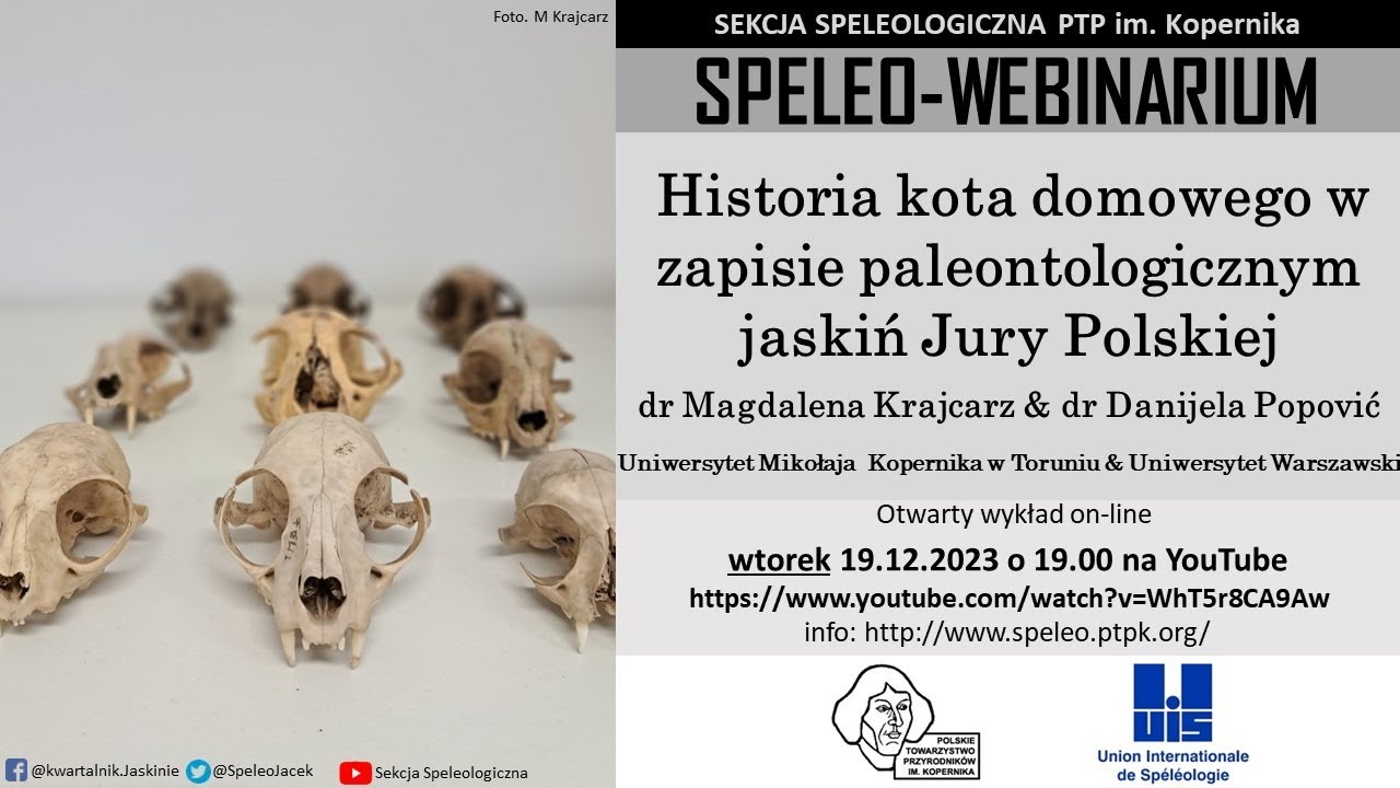 SpeleoWebinarium E25: Historia kota domowego w zapisie paleontologicznym jaskiń Jury Polskiej