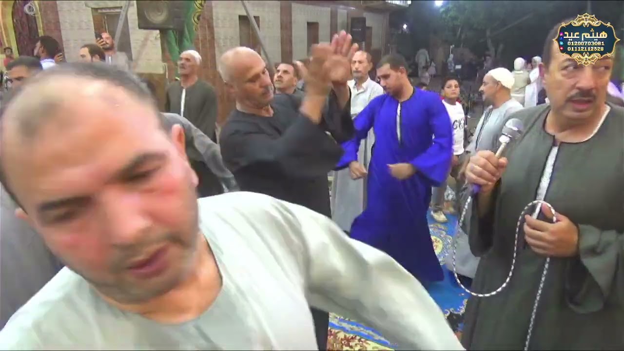 الشيخ محمد ابوميرة / الواصلة الثانية حفل زفاف الاستاذ محمود السيد شامية / زرقان تلا منوفية 24/7/2024