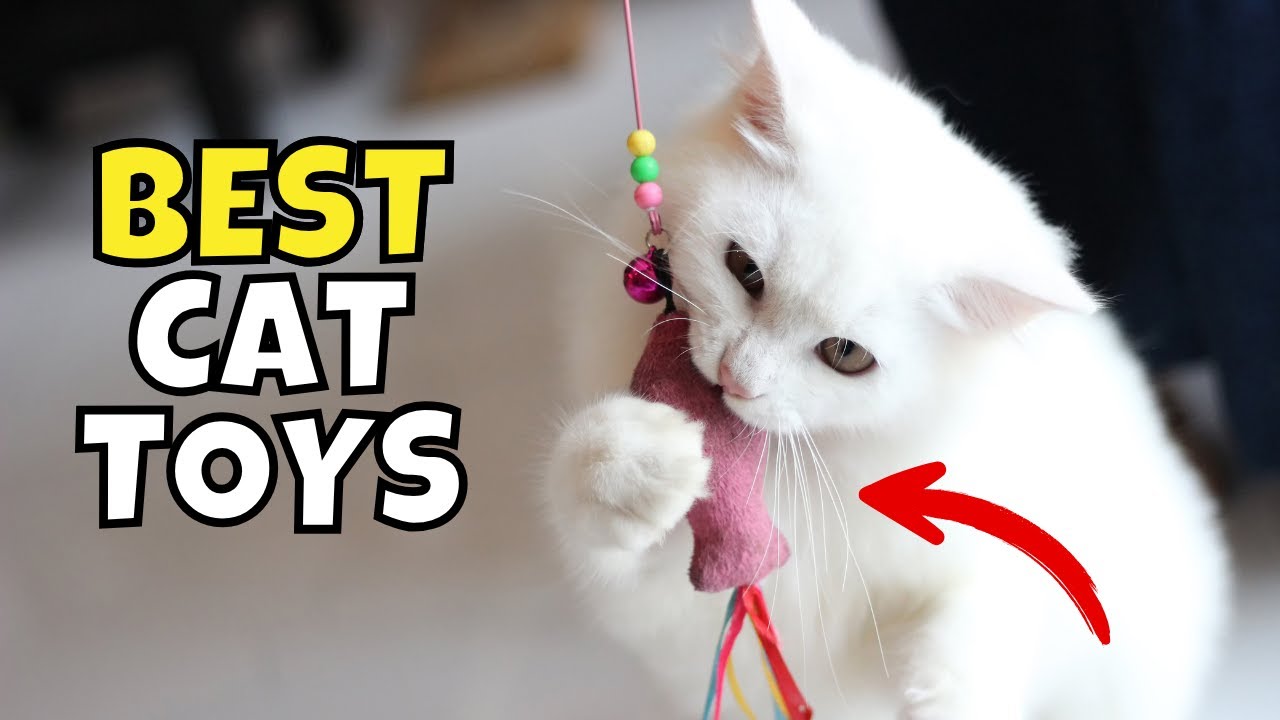 The Best Cat Toys of 2025, According to Experts