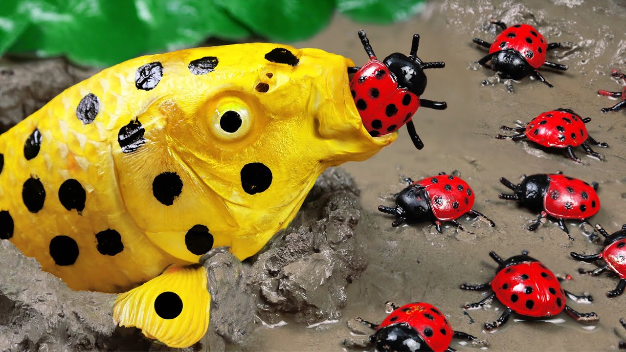 Stop Motion ASMR Goldfish Experiment Variant Hunting Beetles In Primordial Mud | Making Grilled Fish