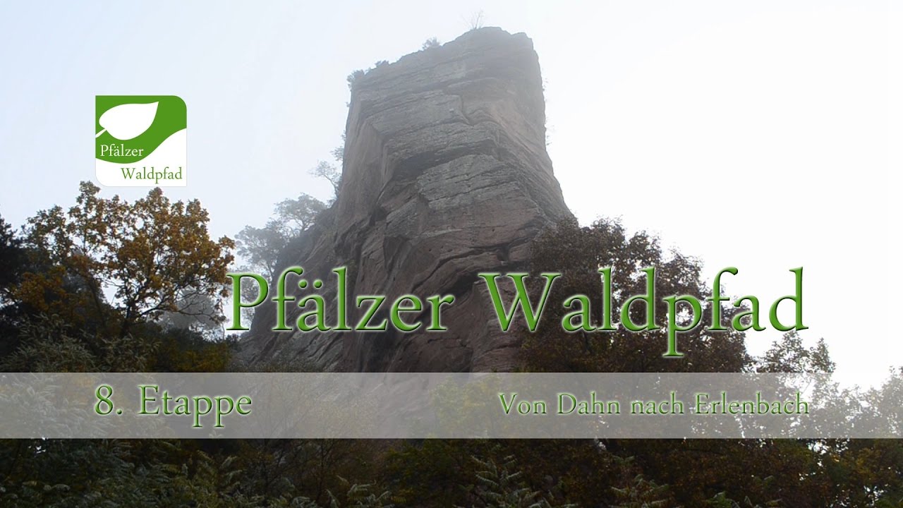 Pfälzer Waldpfad : 8. Etappe : Von Dahn bis Erlenbach