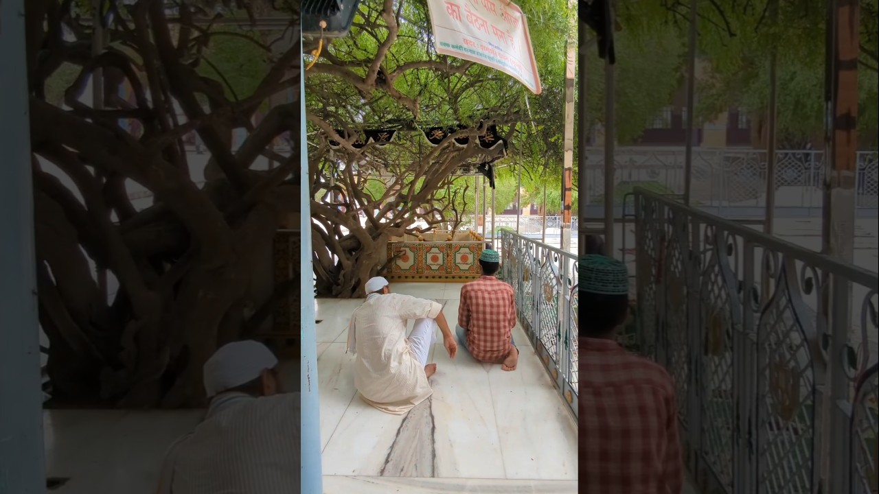 Nagaur Vlog || Sufi Hamidudin Nagauri Dargah || Sufi Sahab Dargah Nagaur #nagaur #aamingachhipura