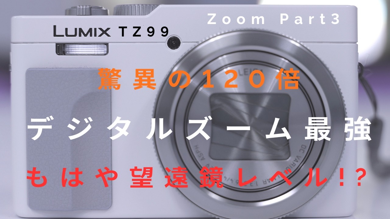 【LUMIX TZ99】デジタルズームは最強！！　望遠鏡レベル？！