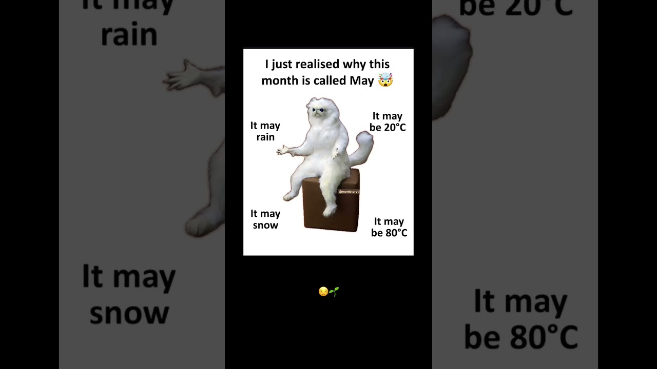 May 😒🌱🌧️ #may #memes #yt