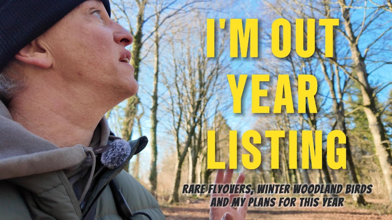Rare winter flyovers and year listing