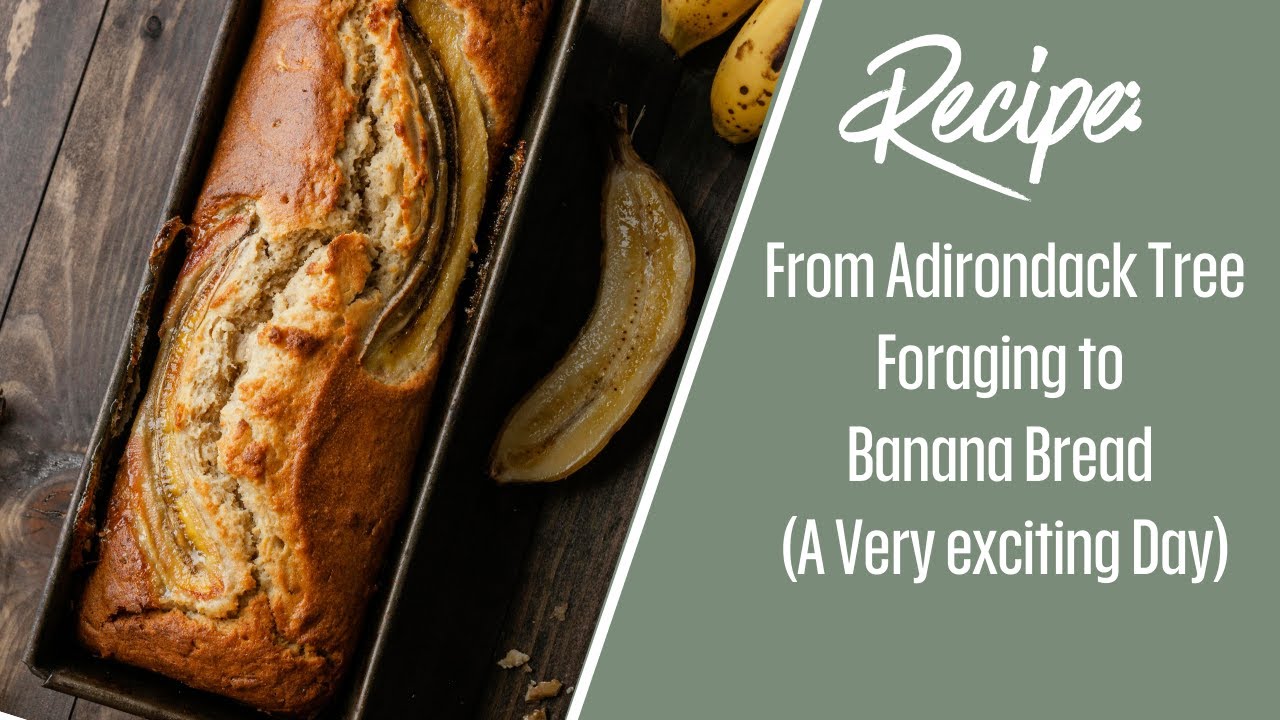 I tested 5 banana bread recipes, this one won!