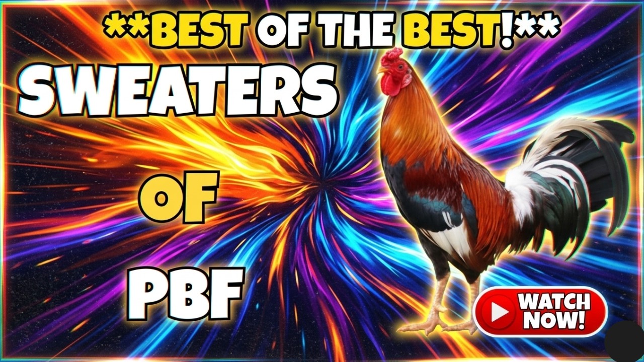 PBF 2025 | Best of Sweater