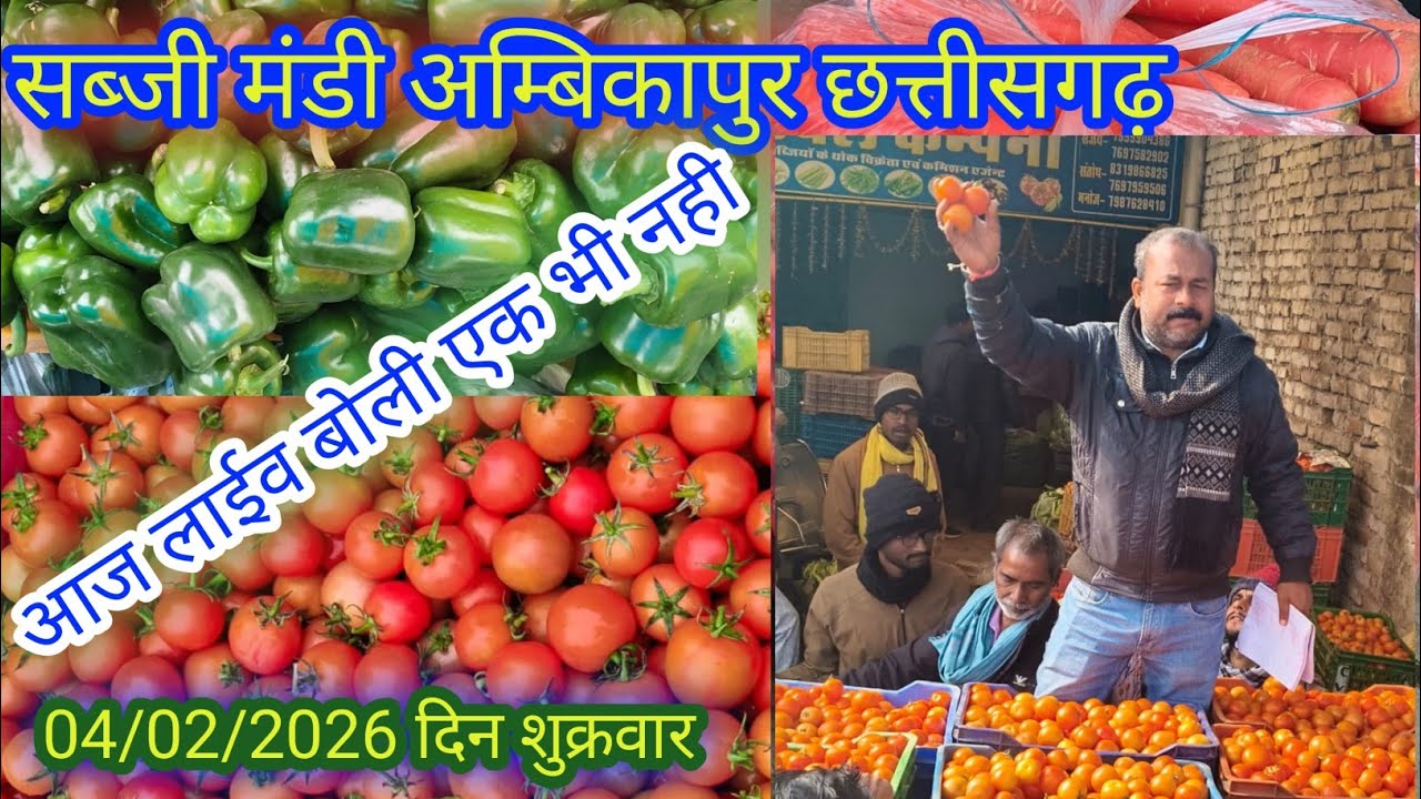 #सब्जी मंडी अंबिकापुर छत्तीसगढ़ का ताजा भाव जाने लाइव #बोली ?  #vegetable #viralvideo #cg #ambikapur
