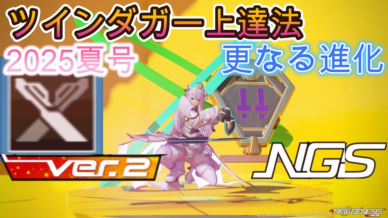SP5 【2025夏号】ツインダガー上達テクニック～猛暑に猛り狂う刃～【PSO2NGS】Raアサルト使いがツインダガー使ってみた