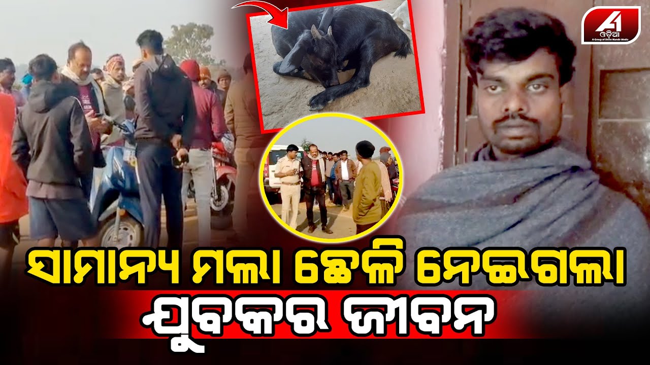 ଛେଳି କେମିତି ନେଲା ସାଙ୍ଗର ଜୀବନ ବଖାଣିଲା ହାଟକୁ ସାଥିରେ ଯାଇଥିବା ସାଙ୍ଗ l FRIEND CASE l @A1odia