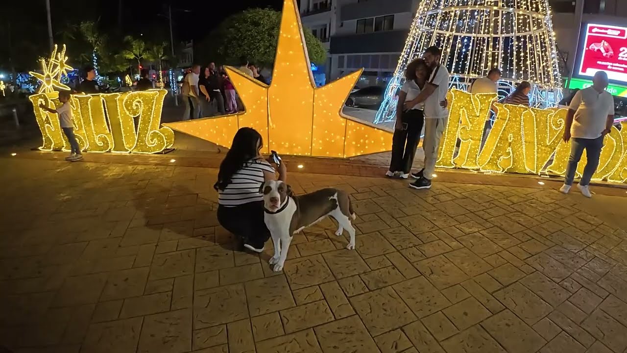 NOCHE DE ALUMBRADOS CARTAGO (VALLE DEL CAUCA) 7 DICIEMBRE 2025
