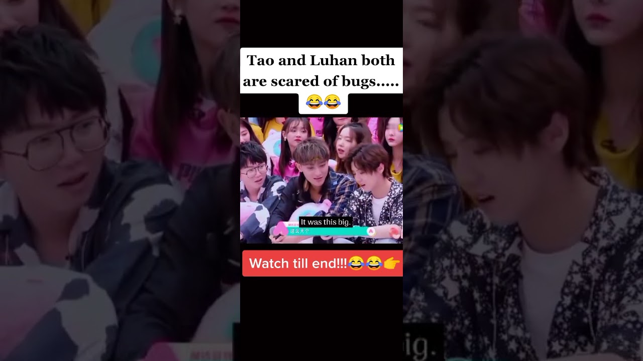 Tao & Luhan both are scared of bugs 😂😂😂